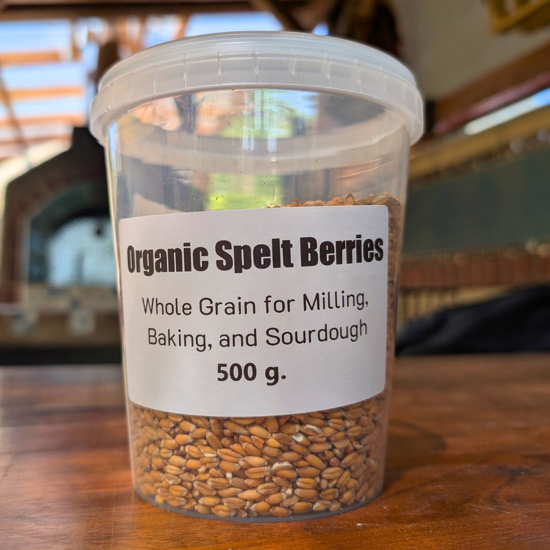 Organic Spelt Berries – Whole Grain for Milling, Baking, and Sourdough