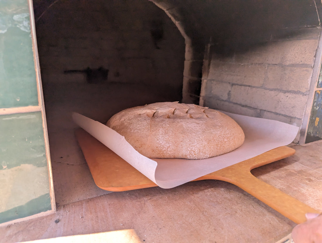 Bread dough prepared for high-altitude baking in Albuquerque.