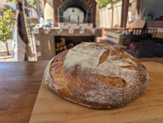 Hands-on sourdough bread baking class in Albuquerque