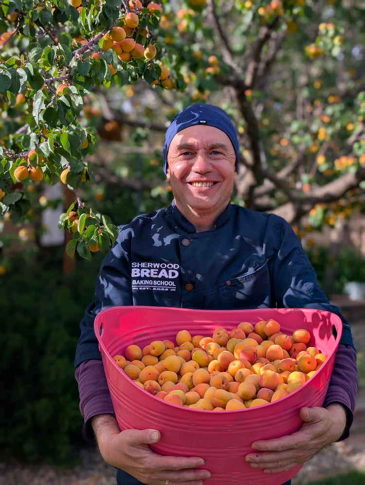 Apricot Baking Classes | New Mexico Harvest Series