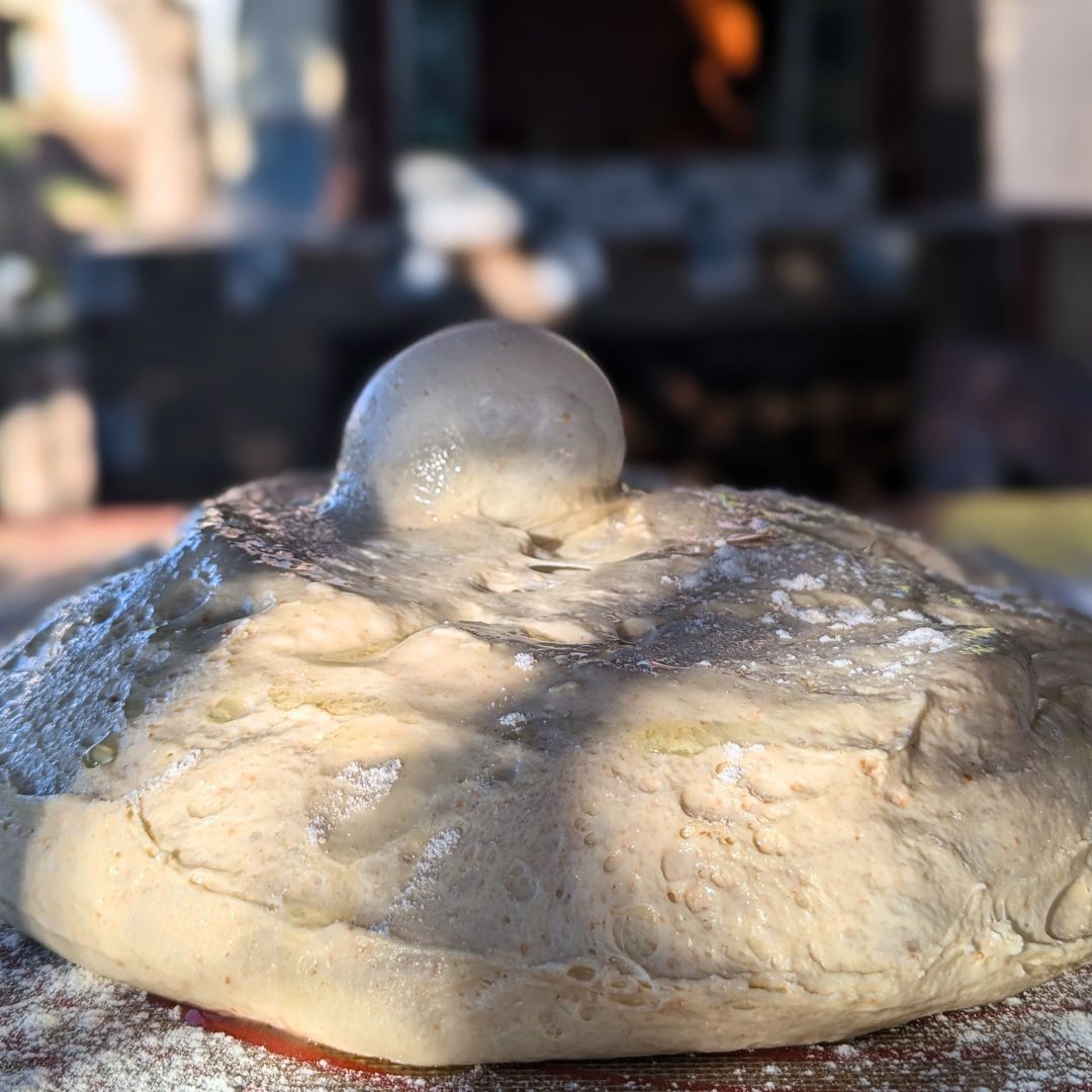 Bread dough in a clear container during bulk fermentation, showing bubbles and rise