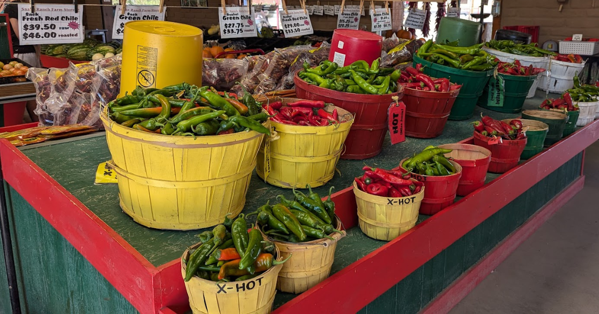 Things to do in Albuquerque with a group