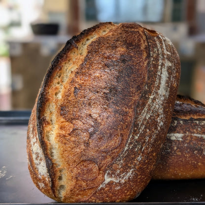 Classic Sourdough Bread Group Class in Albuquerque