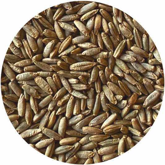 Organic Rye Berries – Whole Grain for Sourdough, Milling, and Rustic Breads