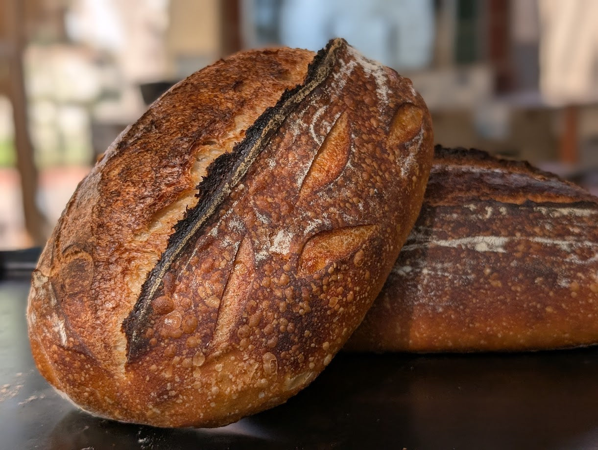 Advanced Sourdough Bread Workshop in Albuquerque