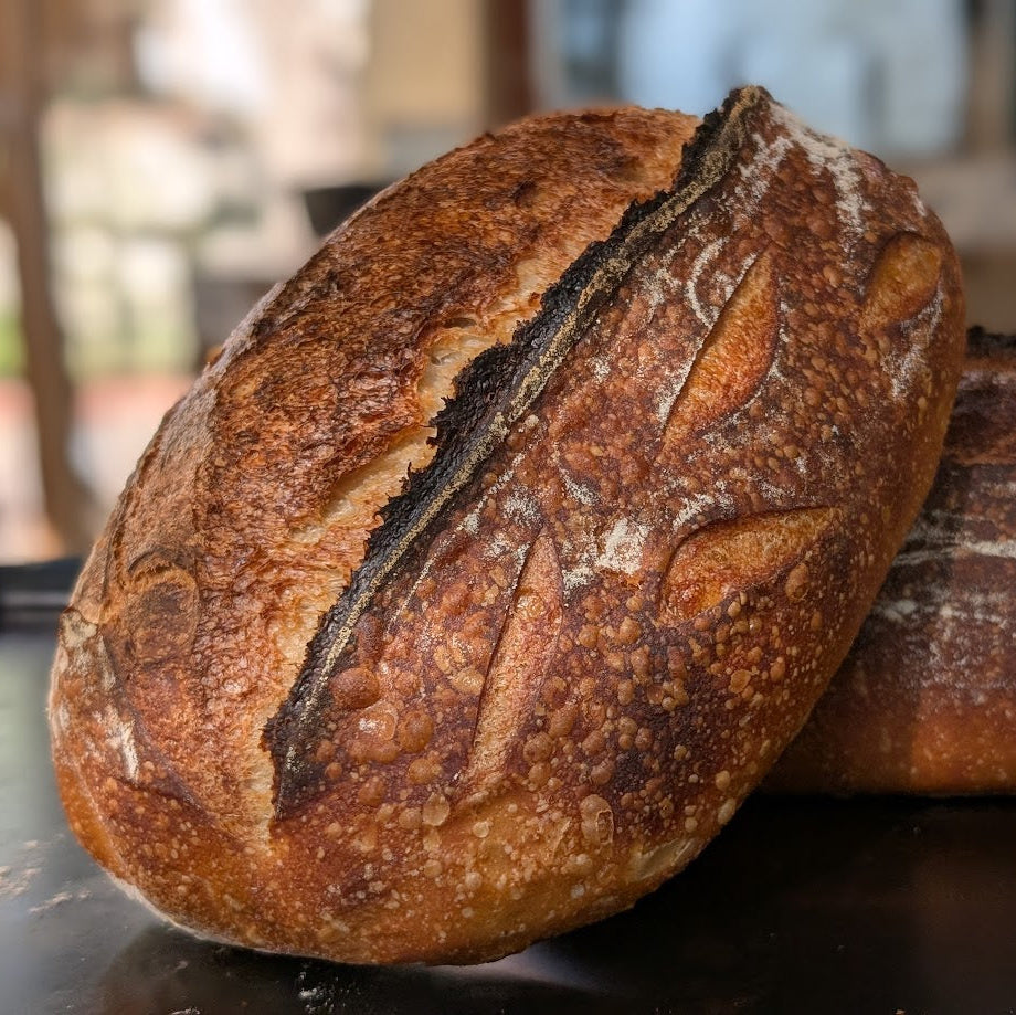 Advanced Sourdough Bread Workshop in Albuquerque
