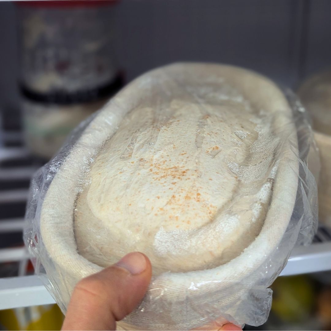 Sourdough dough proofing in a floured banneton, ready for baking.