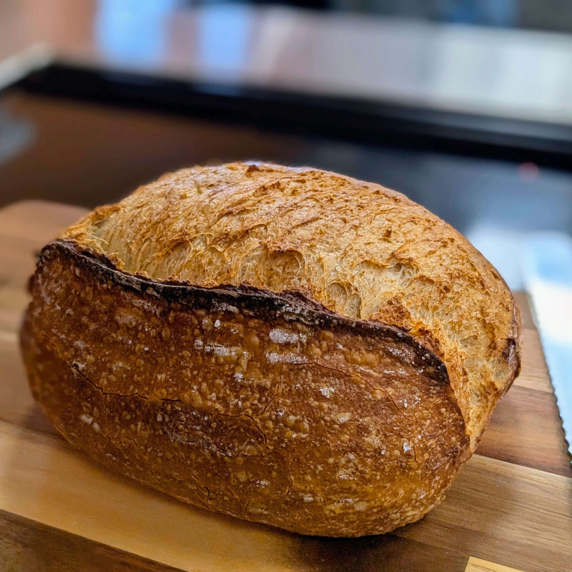 Spelt Sourdough Bread | Albuquerque, New Mexico